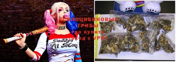 ПСИЛОЦИБИНОВЫЕ ГРИБЫ Балахна