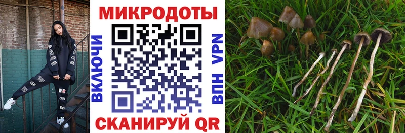 наркошоп  блэк спрут онион  Галлюциногенные грибы мухоморы  Колпашево 